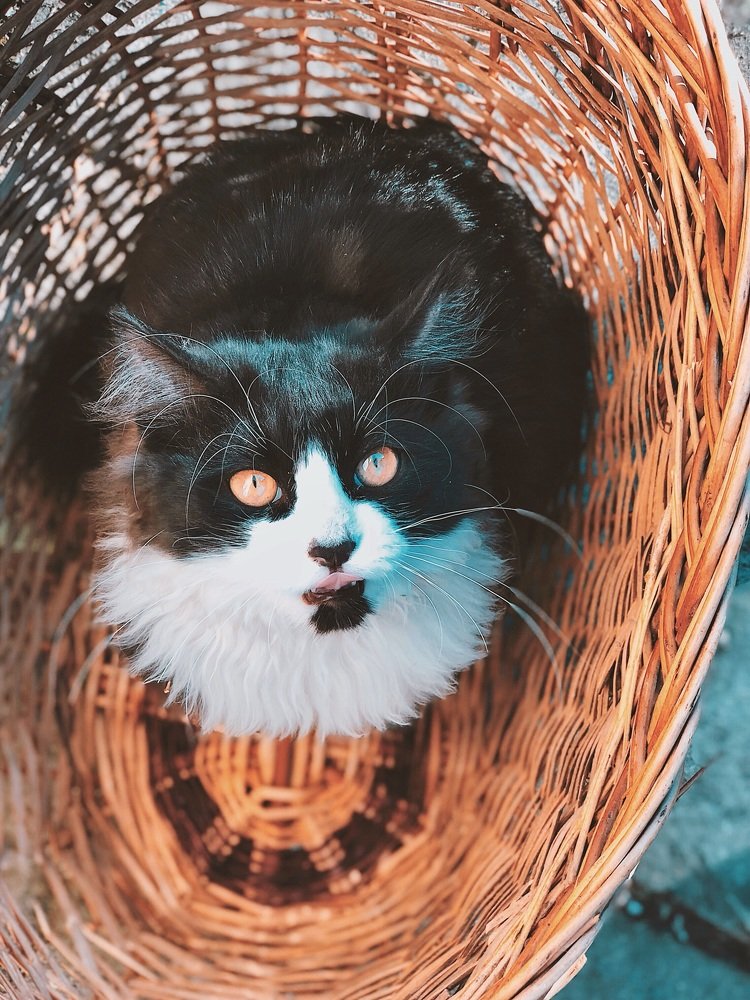 Photograph by Александра Шампорова