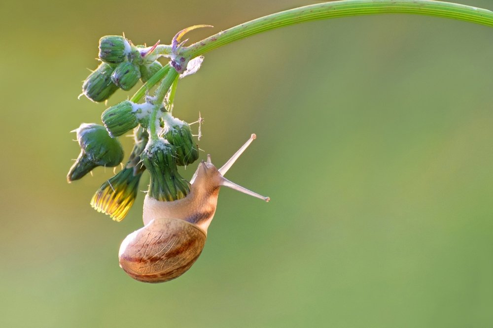 Photograph by Людмила Бекман