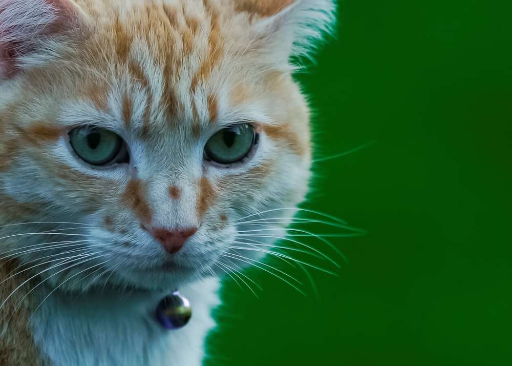 Photograph by Igor Demanov
