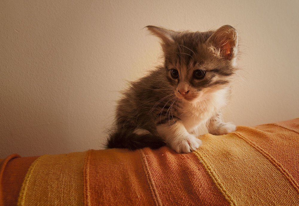 Photograph by Patricia