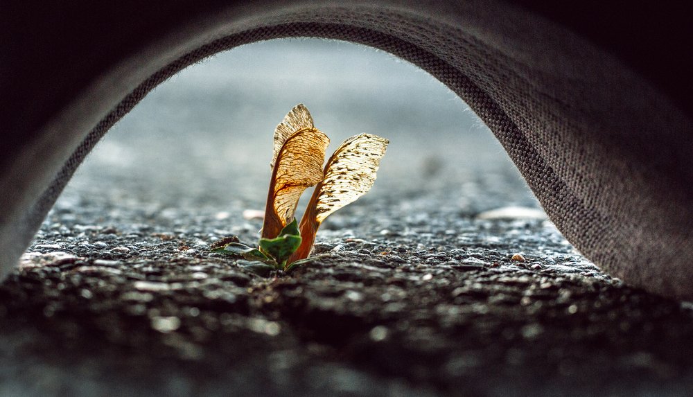 Photograph by Vyacheslav Lozhkin