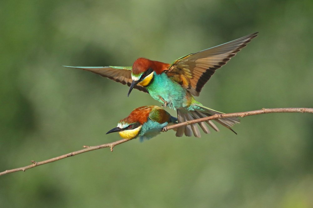 Photograph by Piotr Warzecha