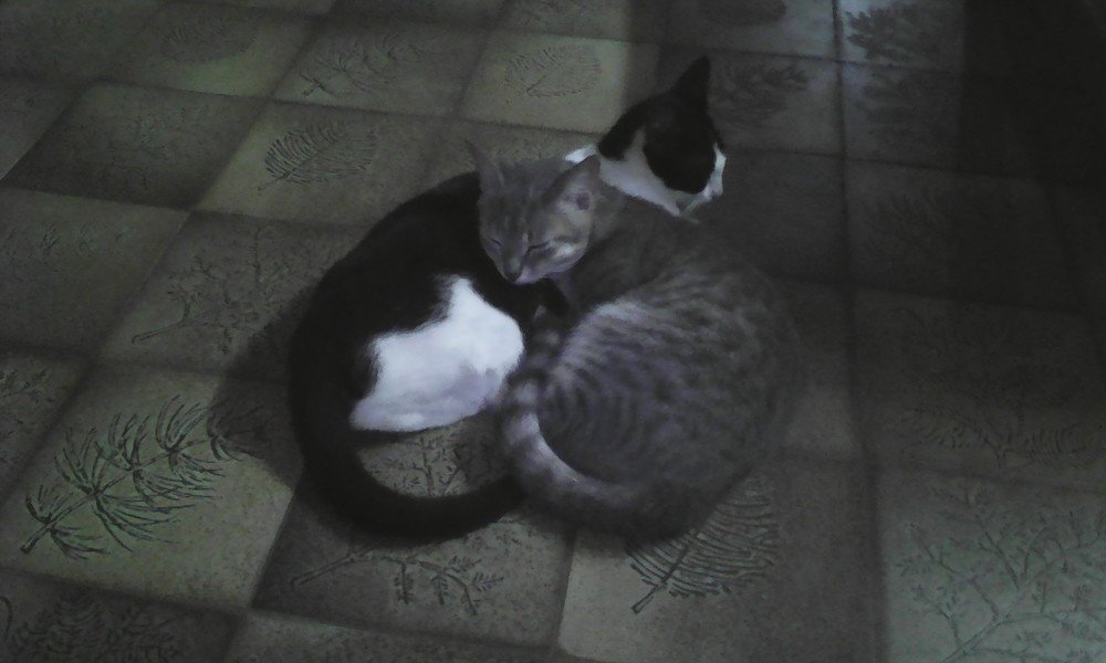 Photograph by Philippa Ohouo