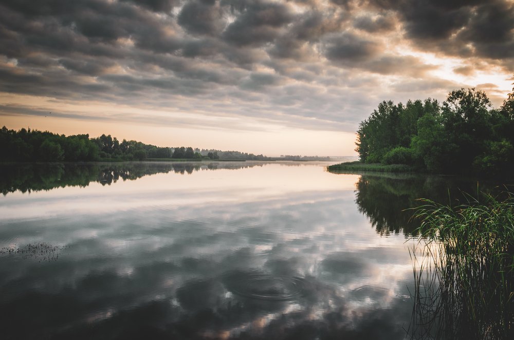 Photograph by Михаил Киселев