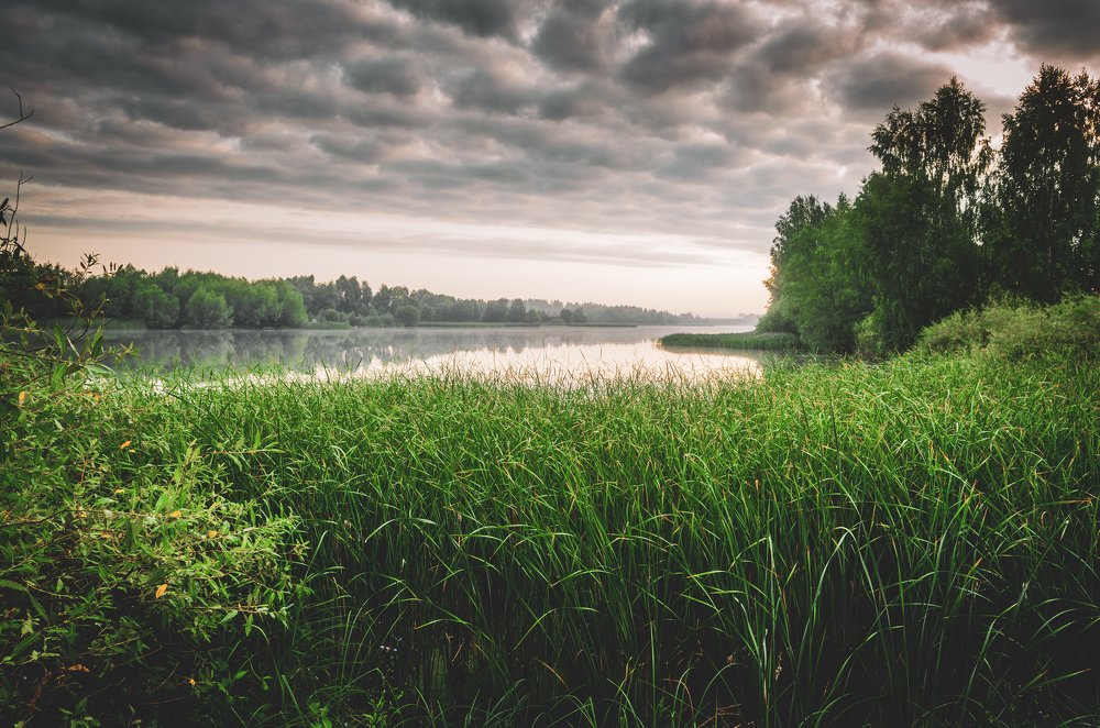 Photograph by Михаил Киселев