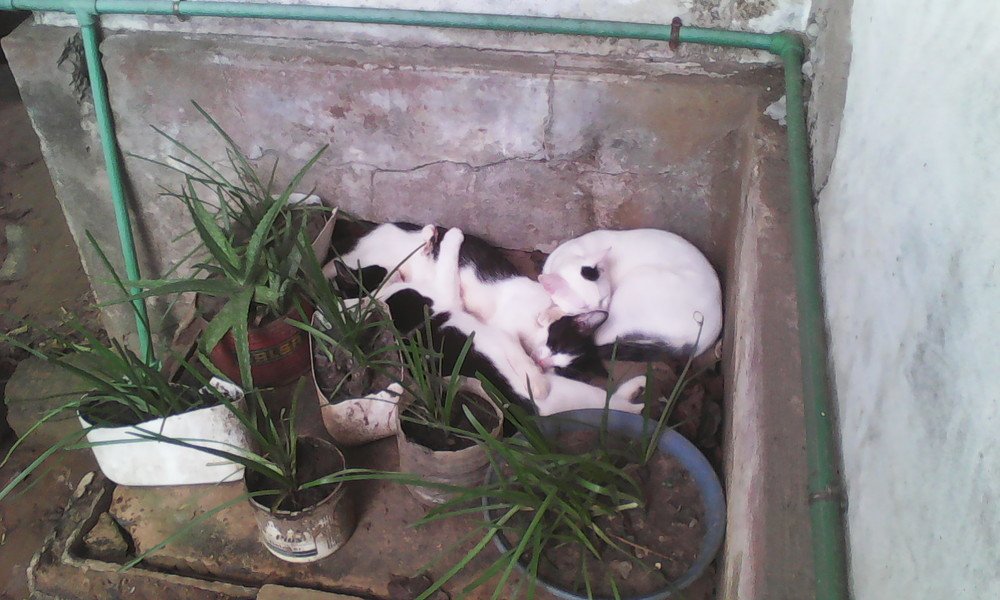 Photograph by Philippa Ohouo