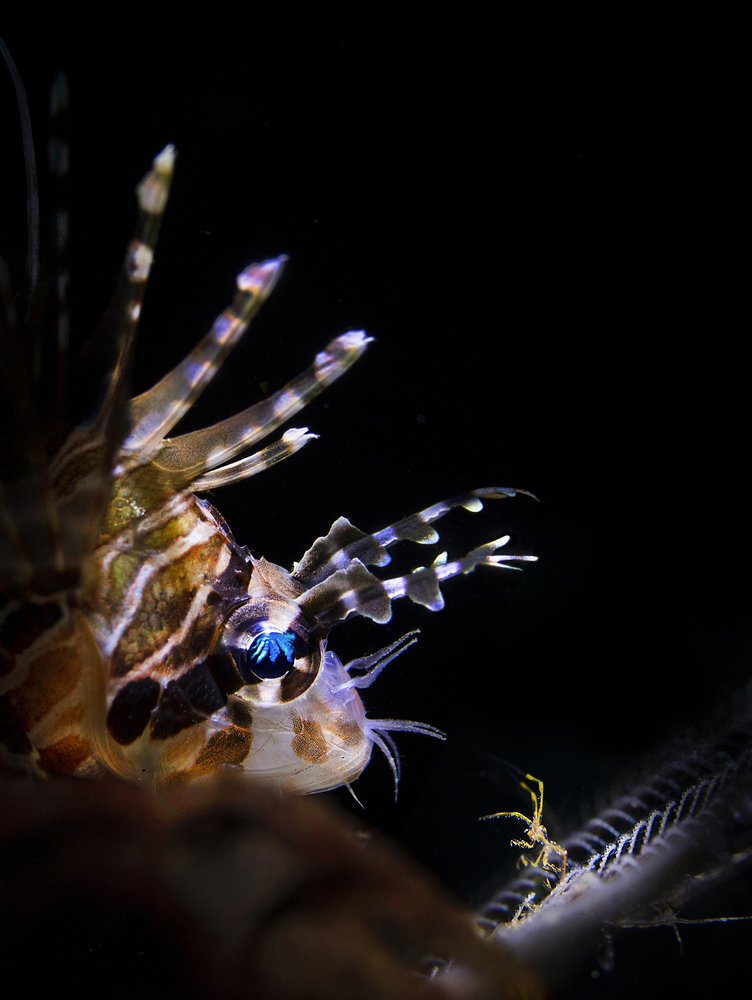 Photograph by Sergey Verderevskiy