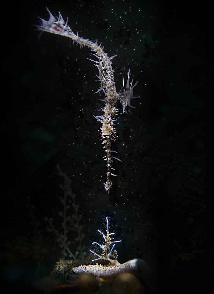 Магический луч...