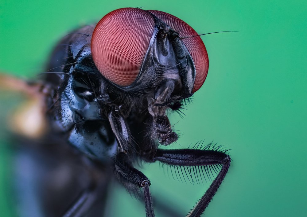 Photograph by Nghiem Khoa