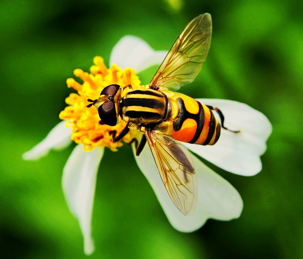 Photograph by MỸ THUẬN HUỲNH