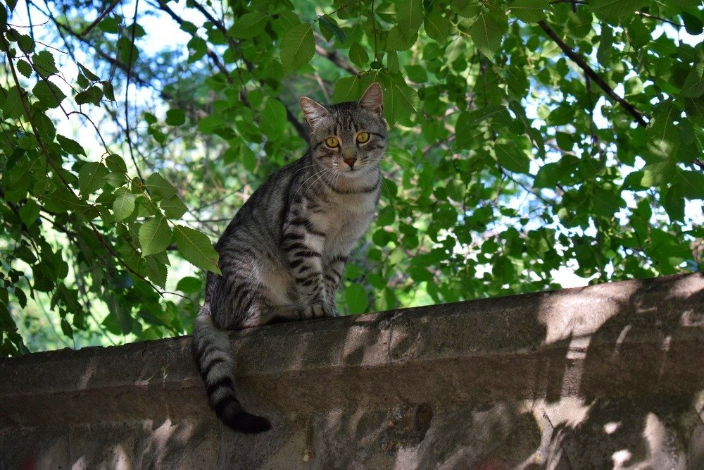 Photograph by Валерия Константинова