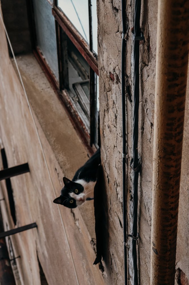 Photograph by Ольга Григорьева