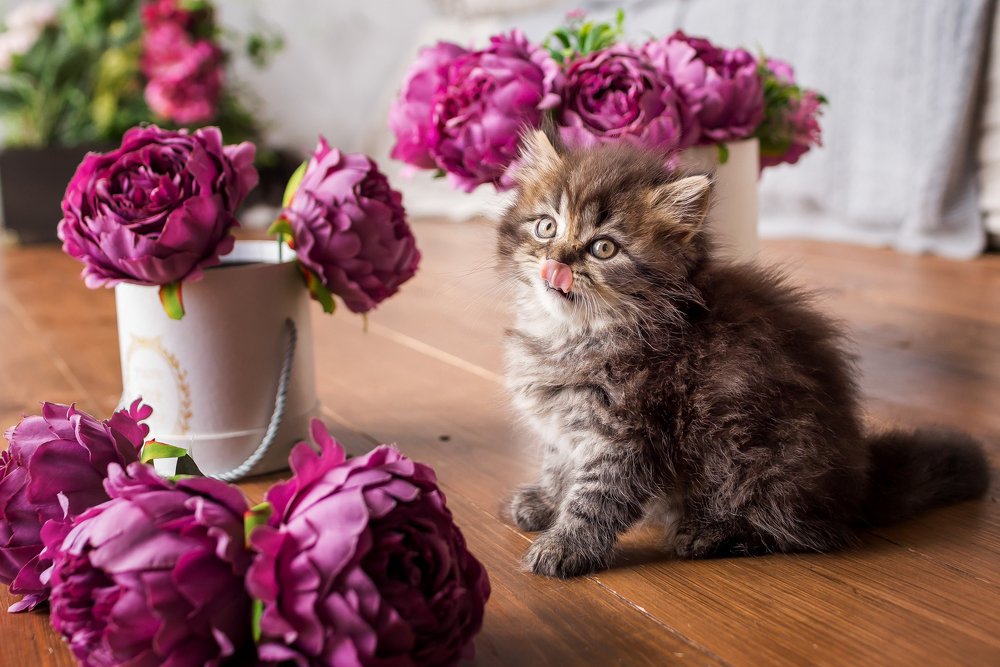 Photograph by Наталья Шкроб