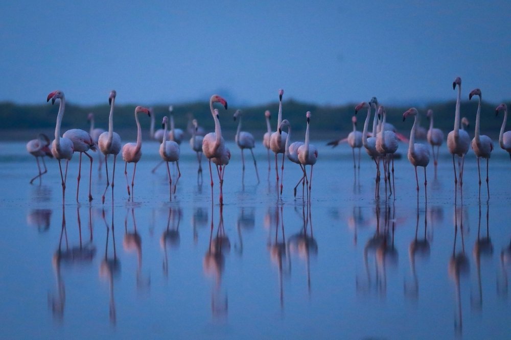 Photograph by Piotr Warzecha