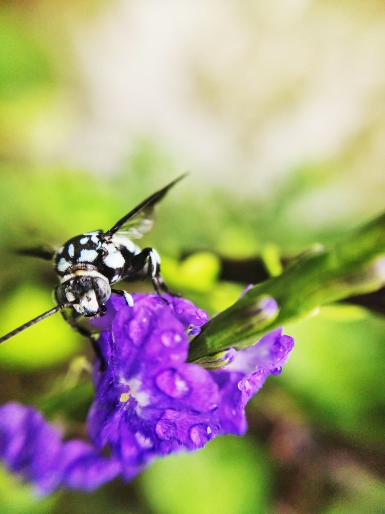 Photograph by Abhishek Manna