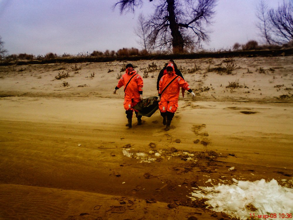 Photograph by Андрей Торшин