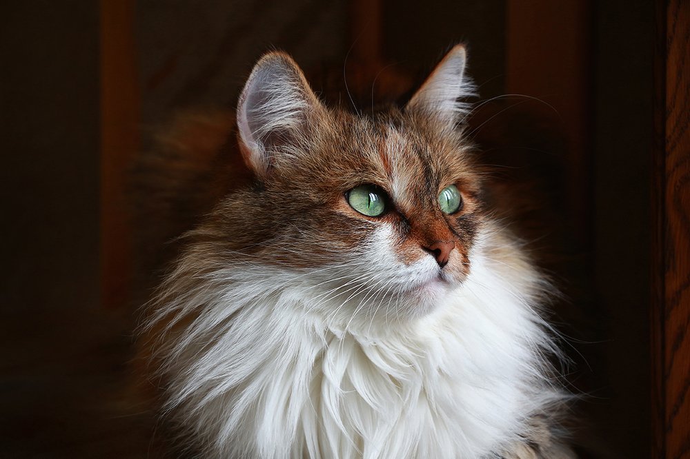 Неужели зима?!