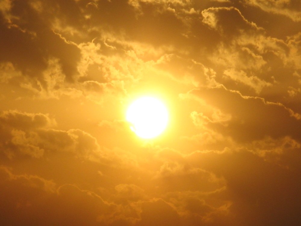 Photo #3536904