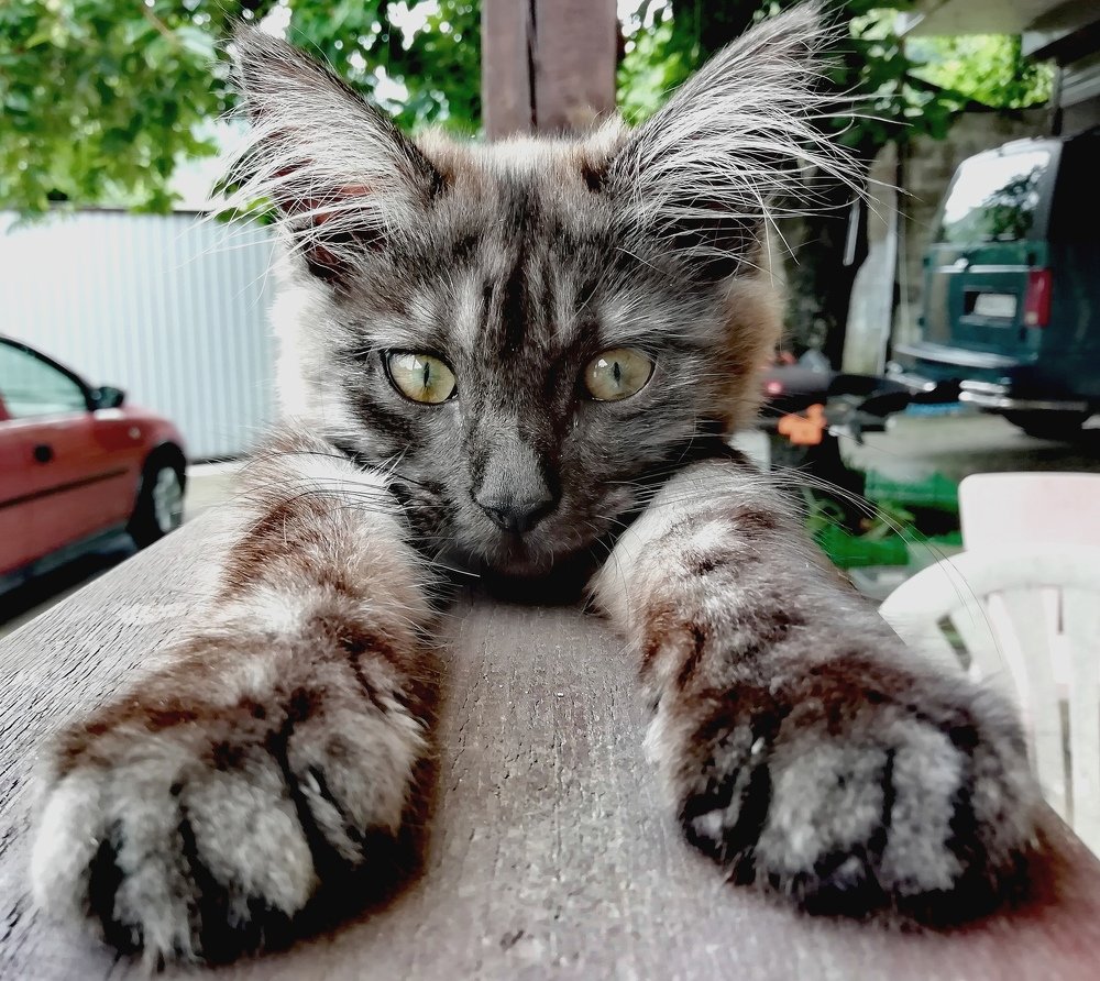 Photograph by Валерия Левшина