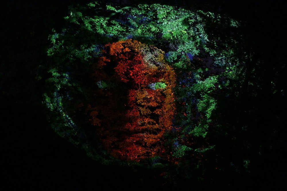 Photograph by Сергей Лобозов