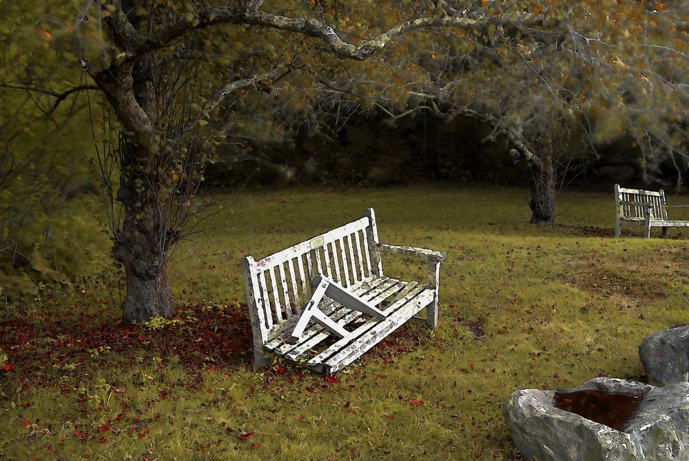 Photograph by Alex Galkin