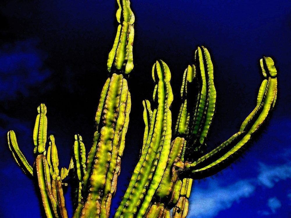 Photograph by Alex Galkin