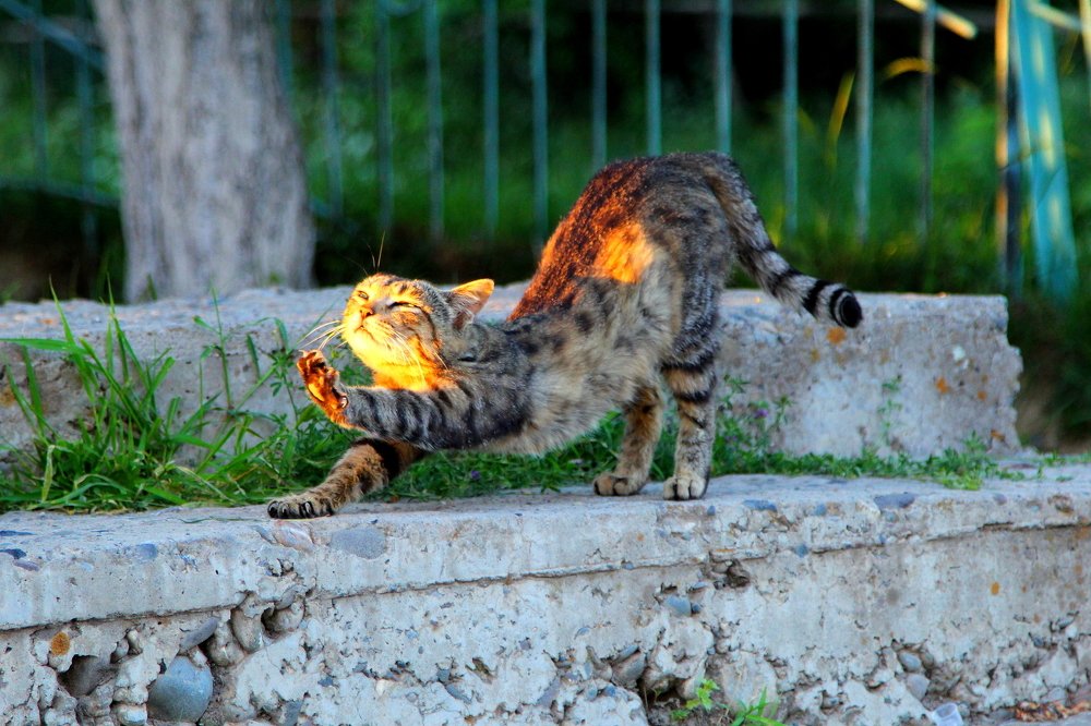 Photograph by Beybit Bertaev