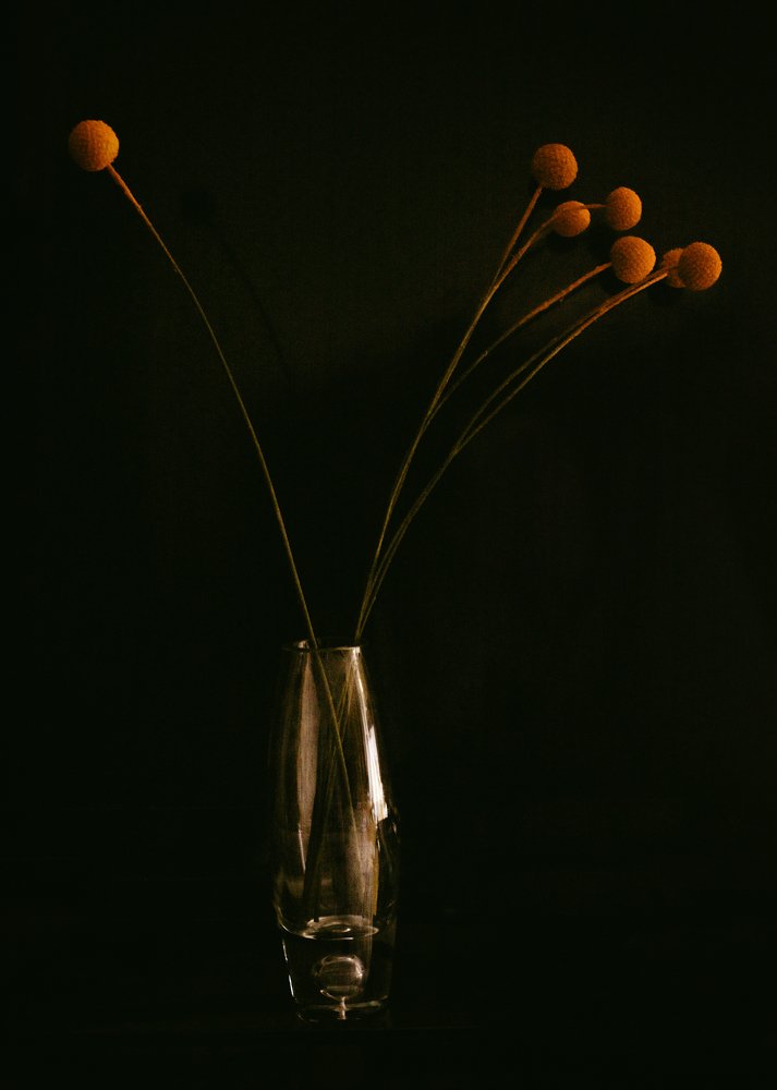 Photograph by Alex Galkin