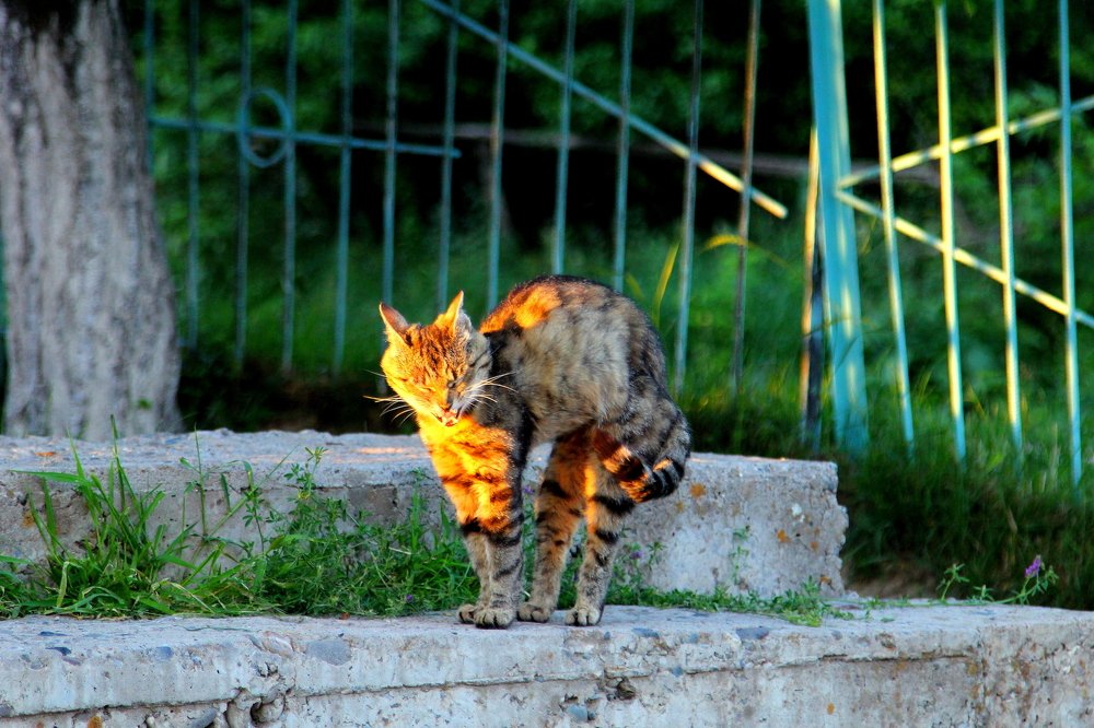 Photograph by Beybit Bertaev