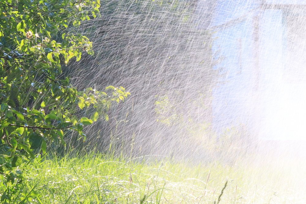 В жаркий день