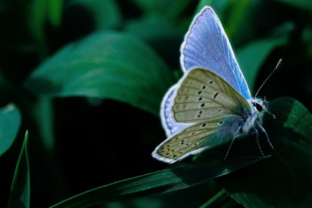 Photograph by Ольга Сондор