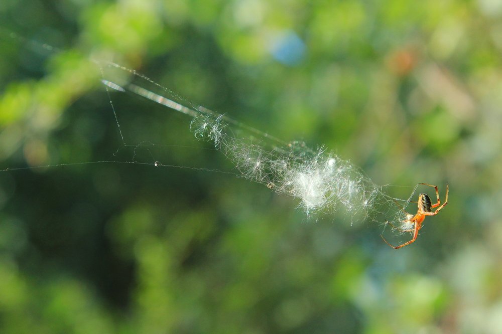 Photograph by Beybit Bertaev