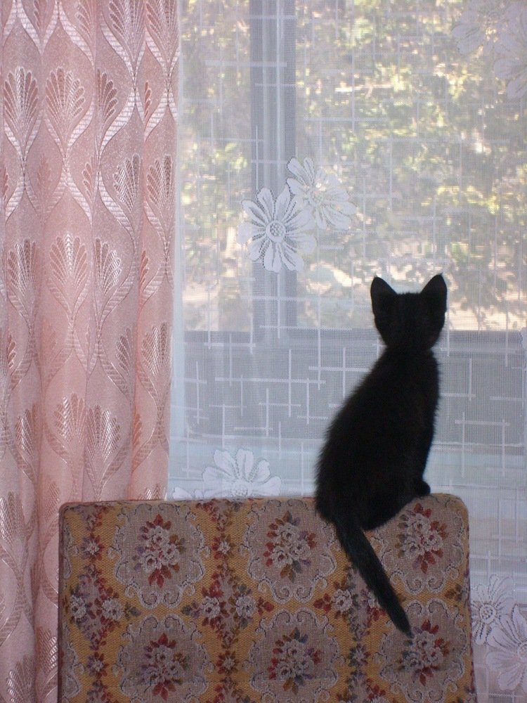 Photograph by Анна