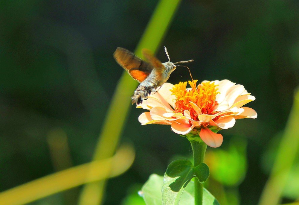 Photograph by Beybit Bertaev