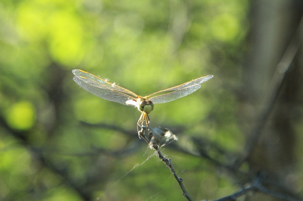 Photograph by Beybit Bertaev