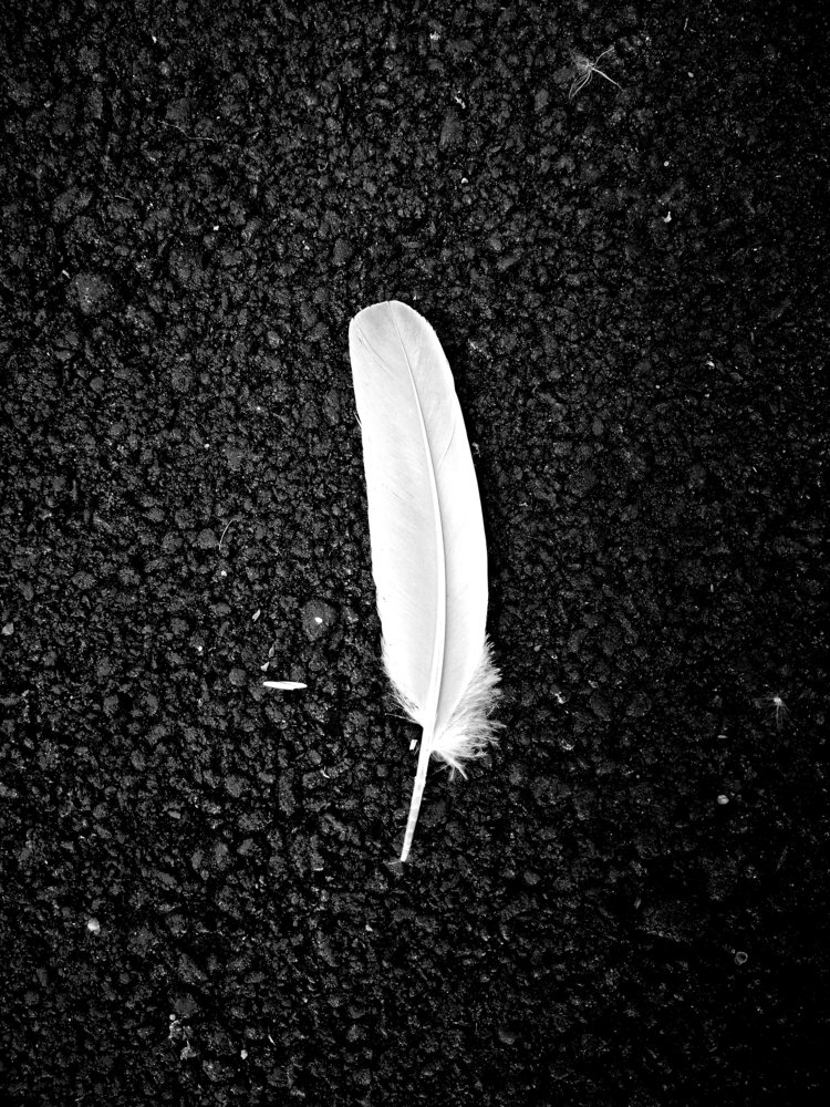 Photograph by Евгений Кравченко