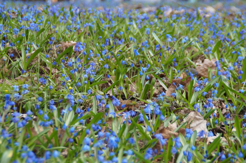 Photograph by Татьяна Иванникова