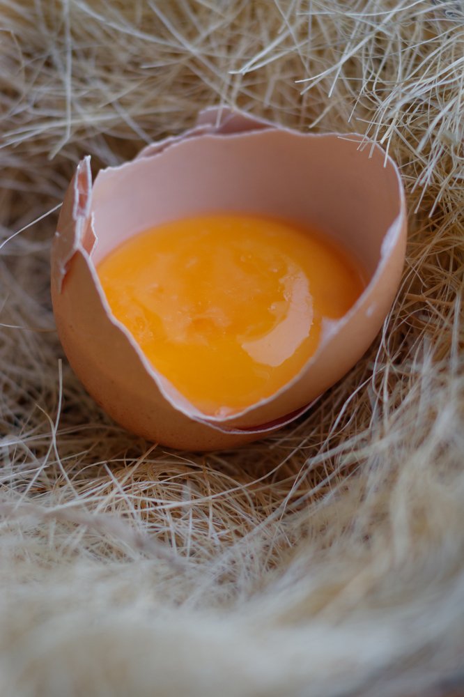 Photograph by Ольга Сондор