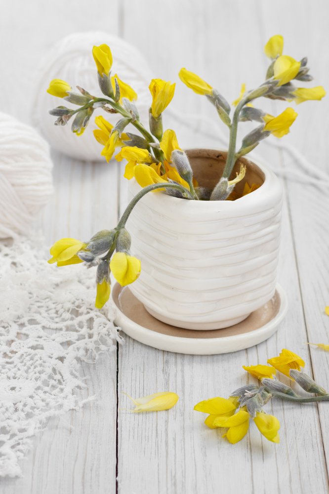 Photograph by Ольга Сондор