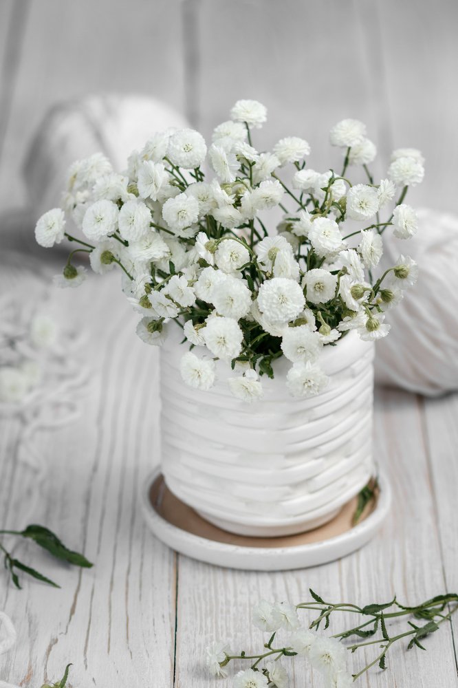 Photograph by Ольга Сондор