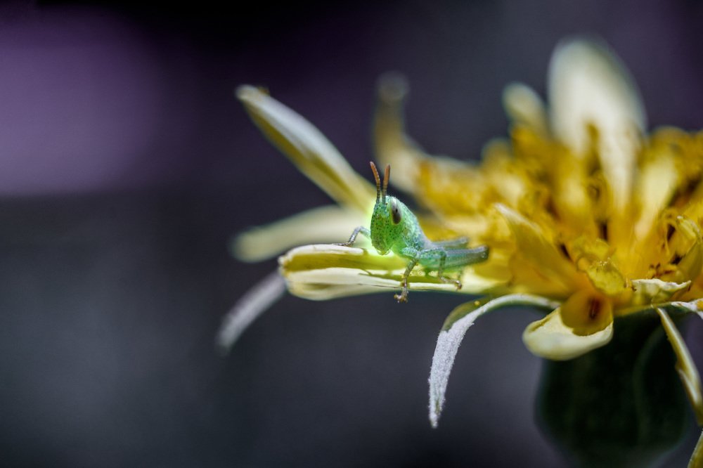 Photograph by Ольга Сондор