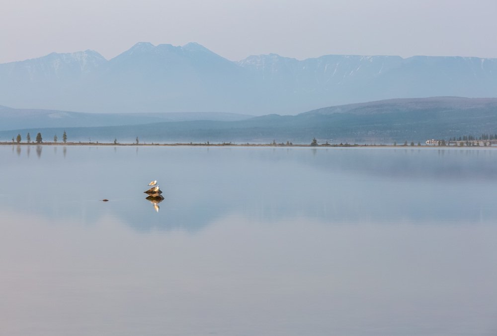 Photograph by Alfia Safuanova