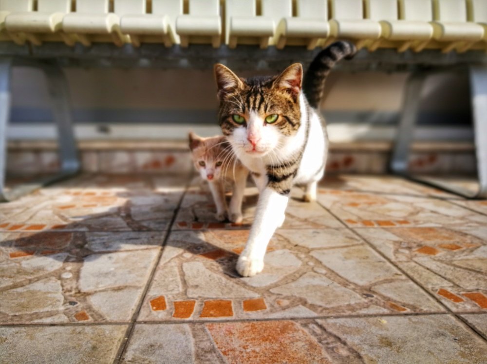 Photograph by Евгений Кравченко