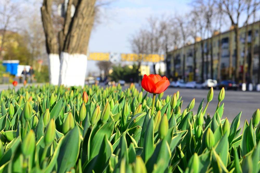 Photograph by Кайрат Карибаев