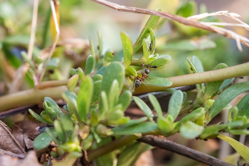 Photograph by Tetiana Mix