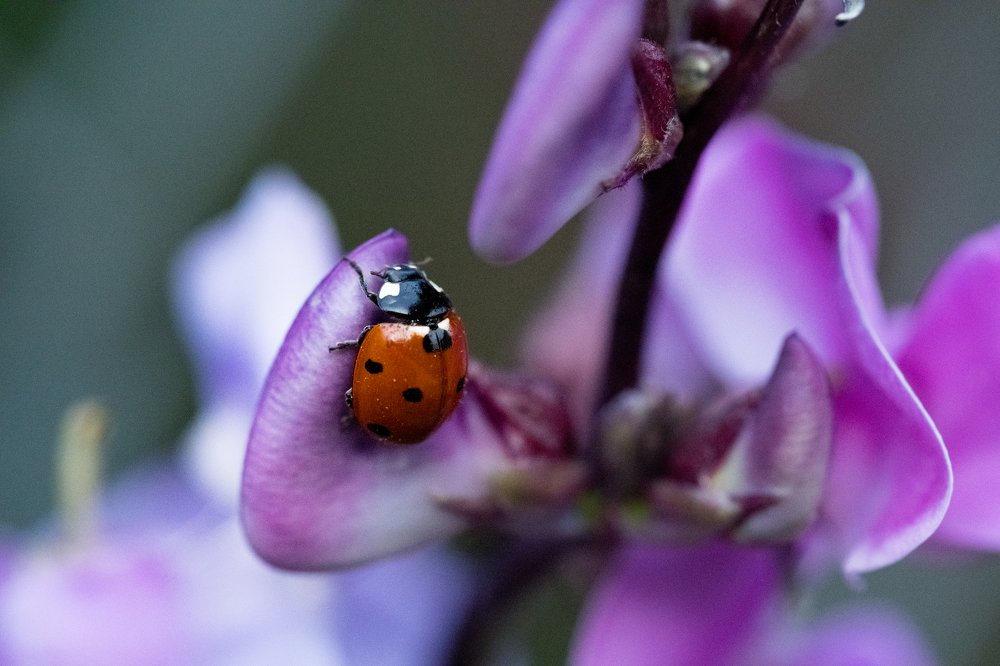 Photograph by Tetiana Mix