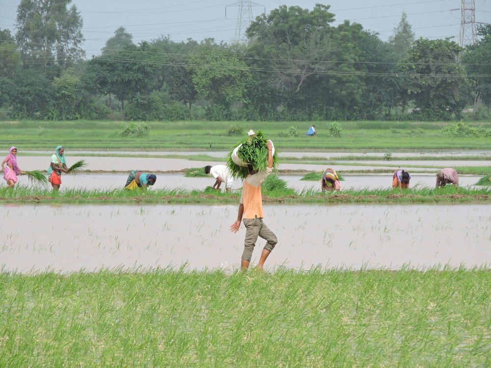 Photograph by Rajan Shah