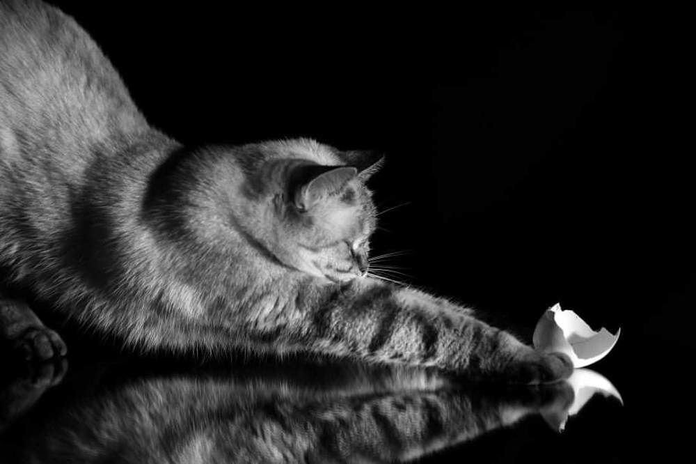 Photograph by Анжелика Гулина