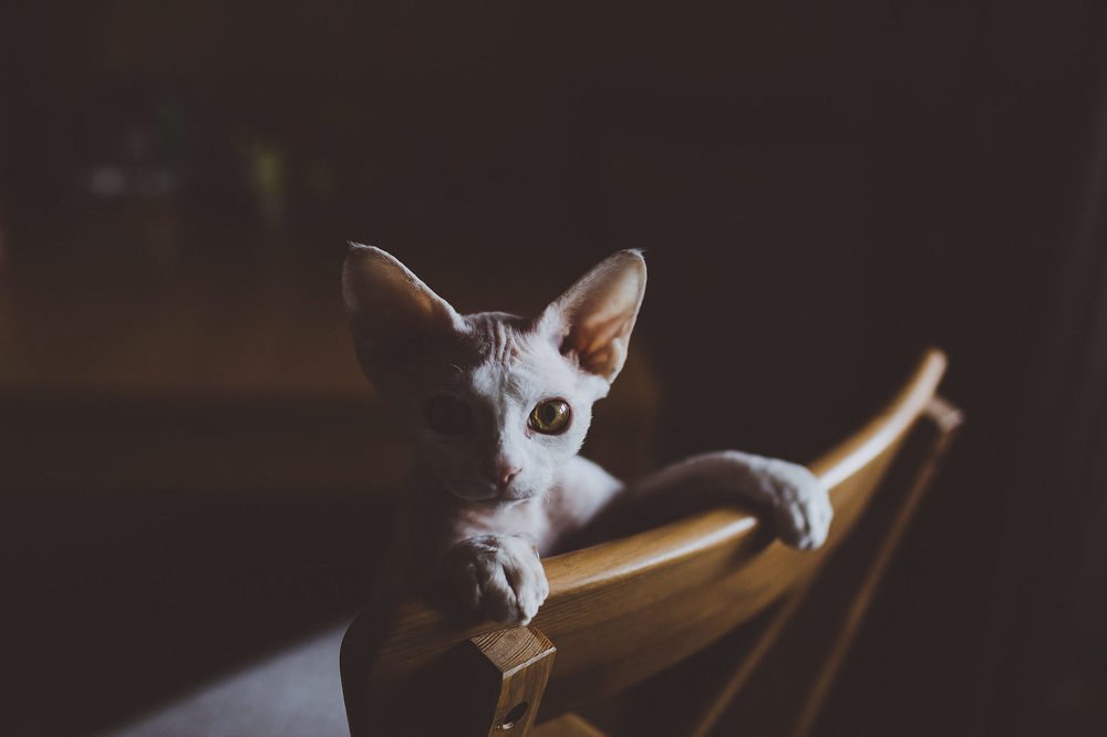 Photograph by Галина Надводнюк