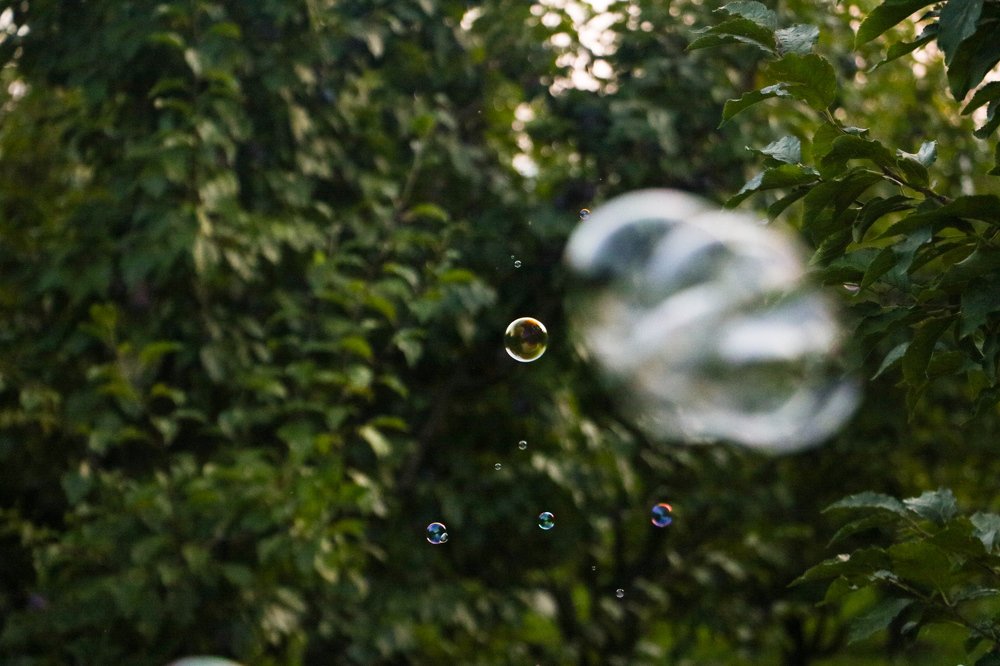 Photograph by Maria Golovach